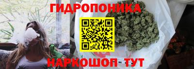 прущие грибы Ливны